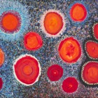 Dots-6_acrylic-on-canvas_35-x-51_90-x-130-cm_2021